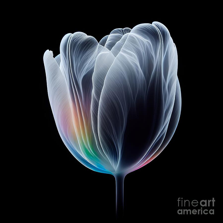 Translucent Tulip Digital Art by Maria Dryfhout - Fine Art America