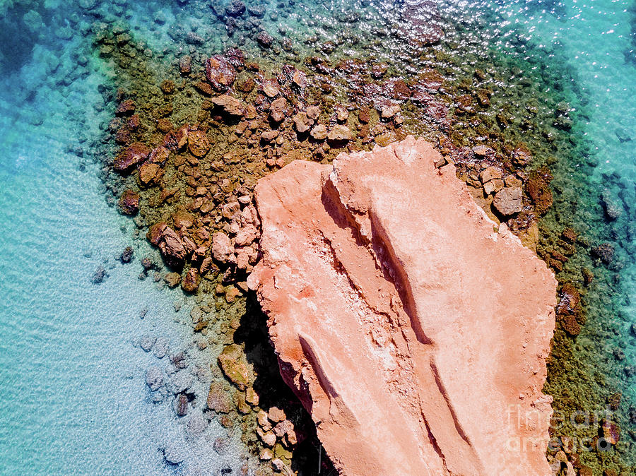 Transparent water Mediterranean coast with rocky bed, aerial vie Photograph by Joaquin Corbalan