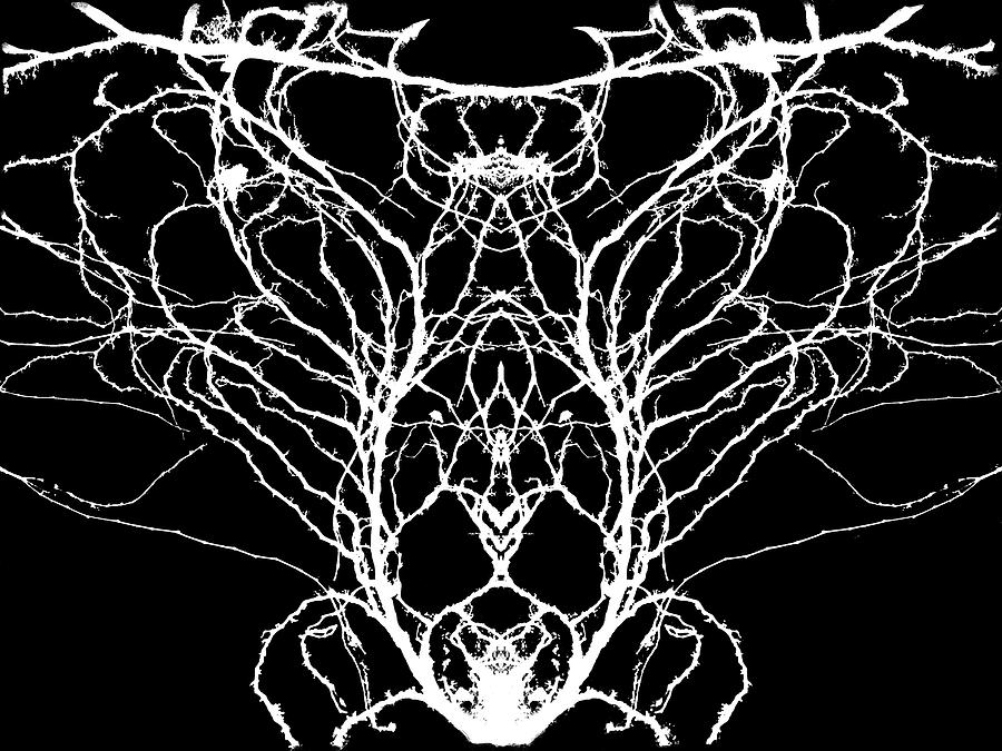 Trapped in Vines by Yulia Kazansky Trapped in Vines by Yulia Kazansky
