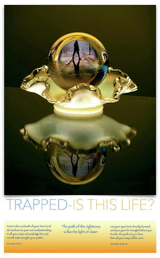 Trapped-Is This Life? Photograph by Engle Meredith Trapped-Is This Life? Photograph by Engle Meredith