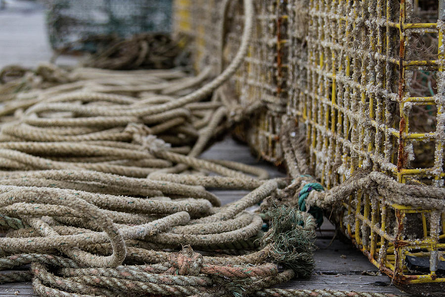 Traps and Ropes Photograph by Denise Kopko