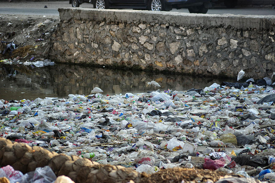Trash pile in an Egyptian canal Photograph by Sherri Damlo, Damlo Shots, Damlo Does, LLC