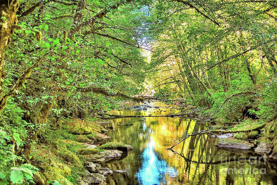 Trask River Reflections 1 Photograph by Jack Andreasen - Fine Art America