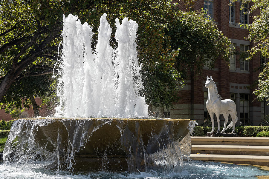 Traveler Statue USC and Fountain Photograph by John McGraw