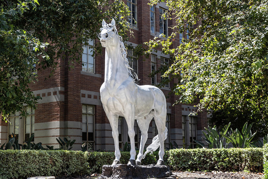 Traveler Statue USC Photograph by John McGraw