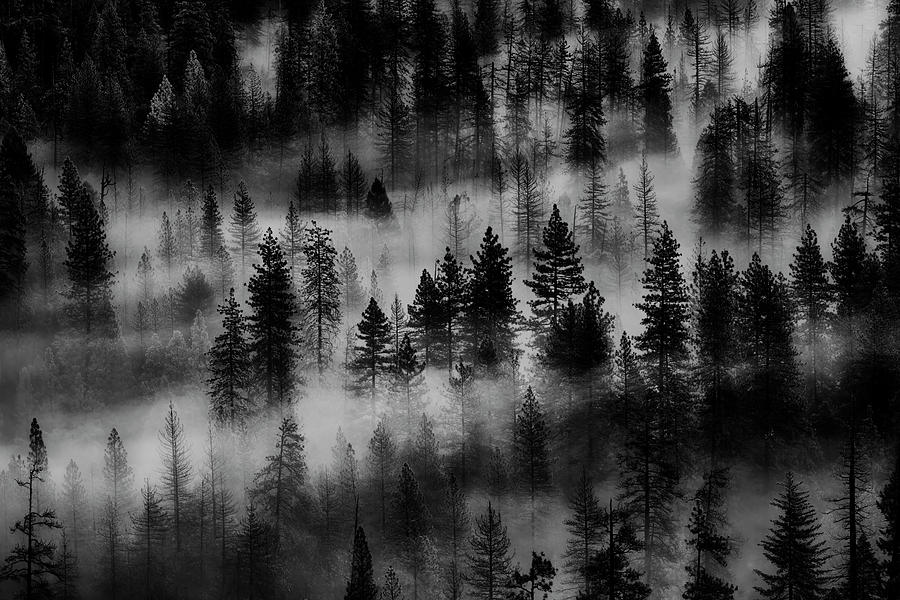 Traveling Mist in Yosemite Photograph by Jon Glaser