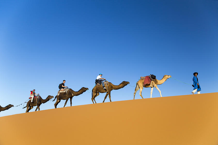 Traveling on Camels Photograph by Uchar