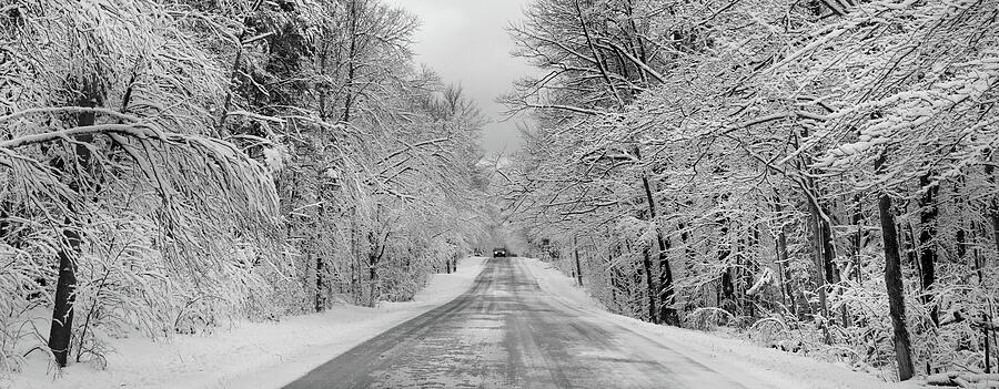 Traveling Through the Fresh Snow Pano Photograph by David T Wilkinson