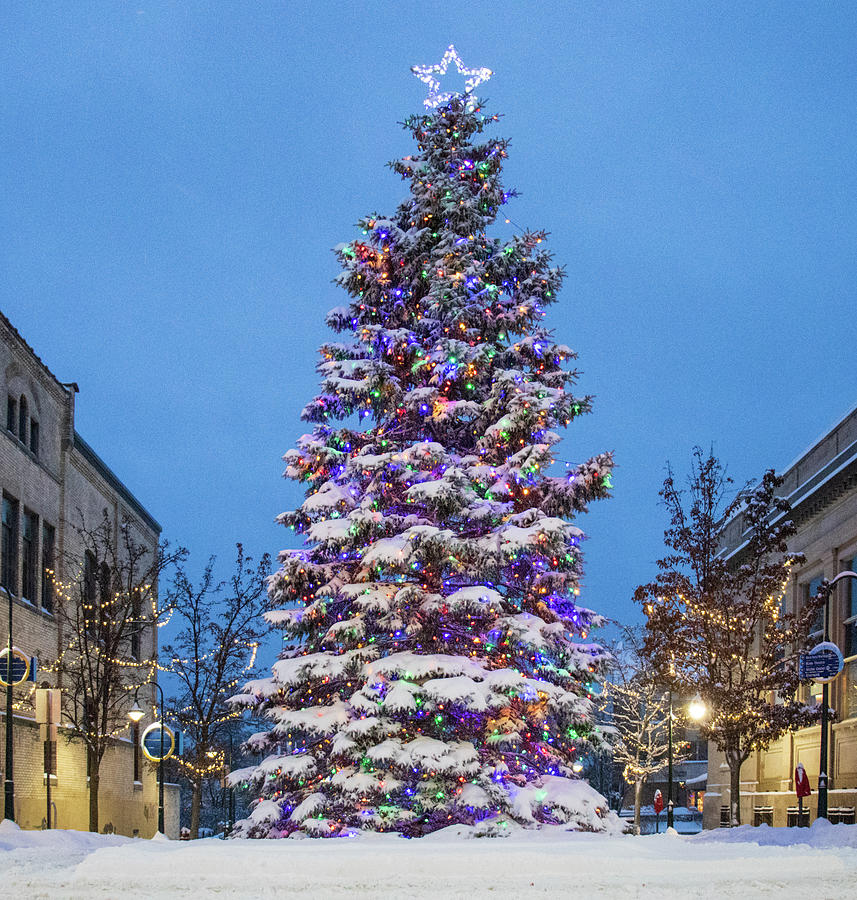 Traverse City Christmas Tree After A Little Sunday Snowfall Photograph