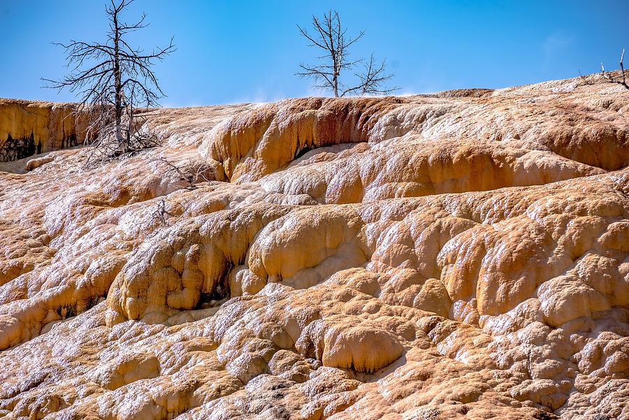 Travertine Terraces, Mammoth Hot Springs, Yellowstone Photograph by Alex Grichenko