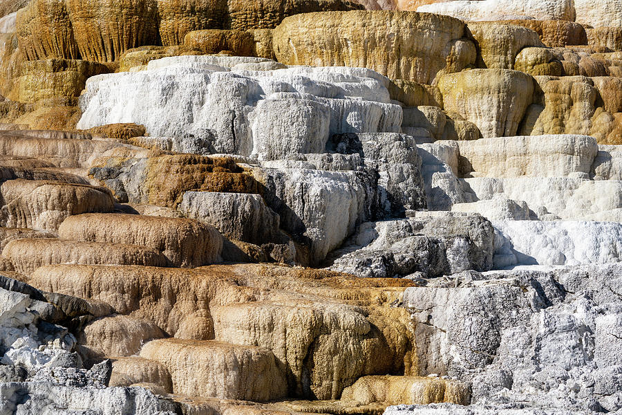 Travertine terraces of Mammoth Hot Springs area of Yellowstone N ...