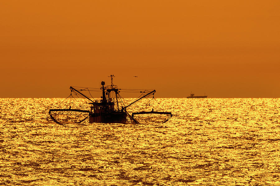 Trawler Boat Fishing at Sunset Photograph by Arterra Picture Library