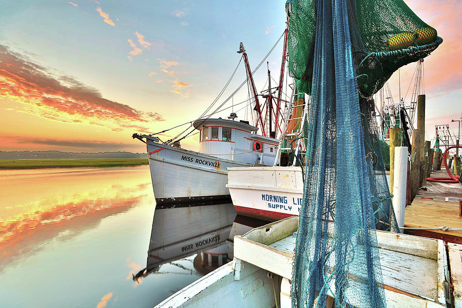 Shrimp Boats Photograph - Trawlers by Terrah Hewett
