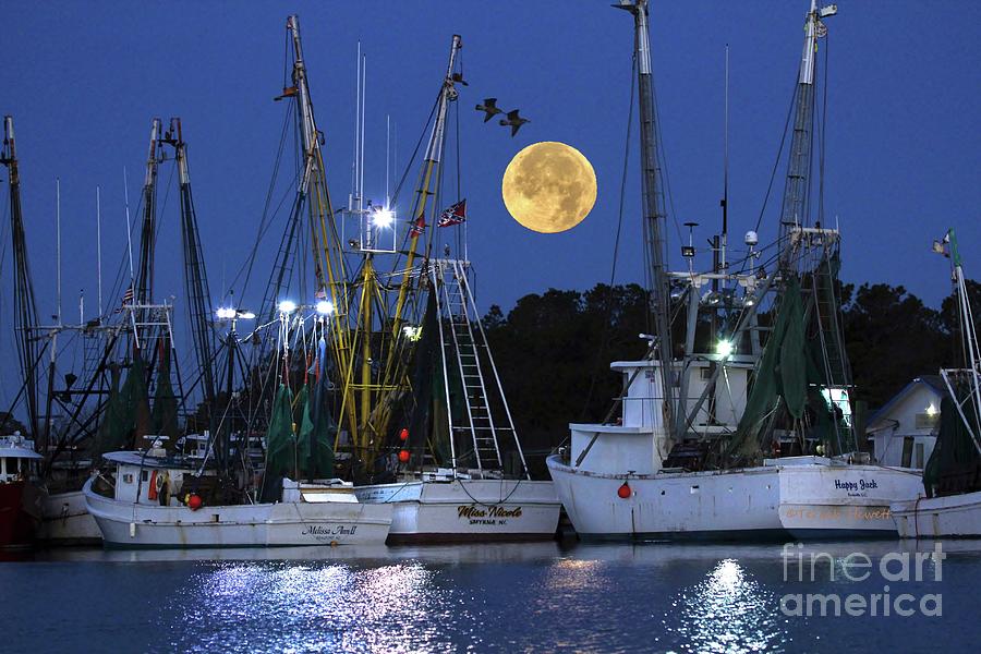 Full Moon Photograph - Trawlers To The Moon by Terrah Hewett