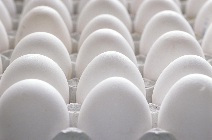 Tray of eggs, close up Photograph by Achim Sass