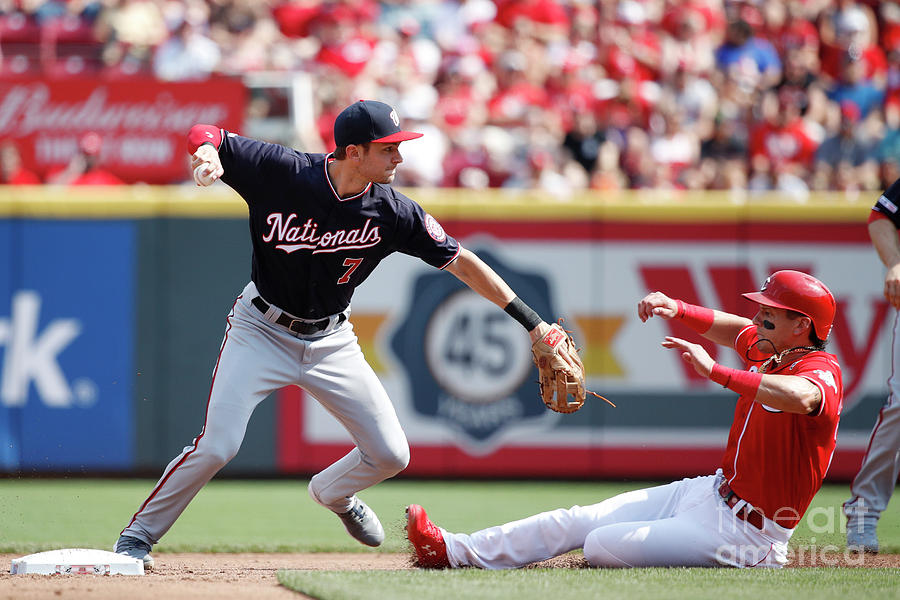 Trea Turner and Derek Dietrich Photograph by Joe Robbins Trea Turner and Derek Dietrich Photograph by Joe Robbins