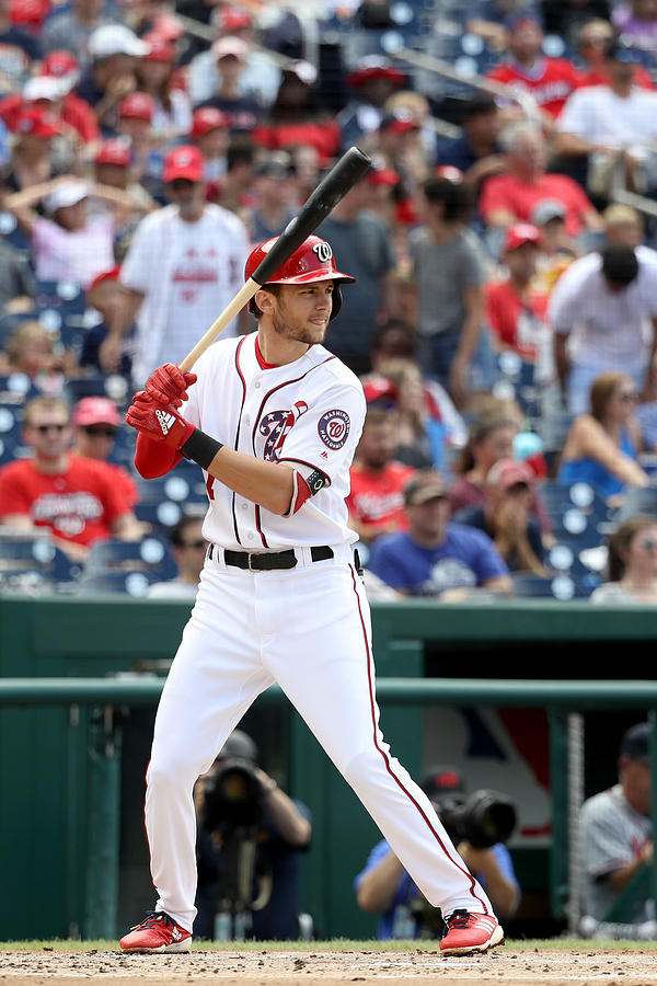 Trea Turner Photograph by Rob Carr