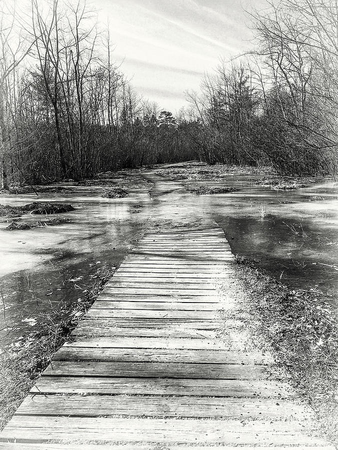 Treacherous Path Photograph by Steven Nelson