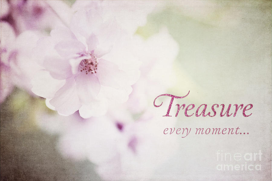 Treasure Every Moment Photograph