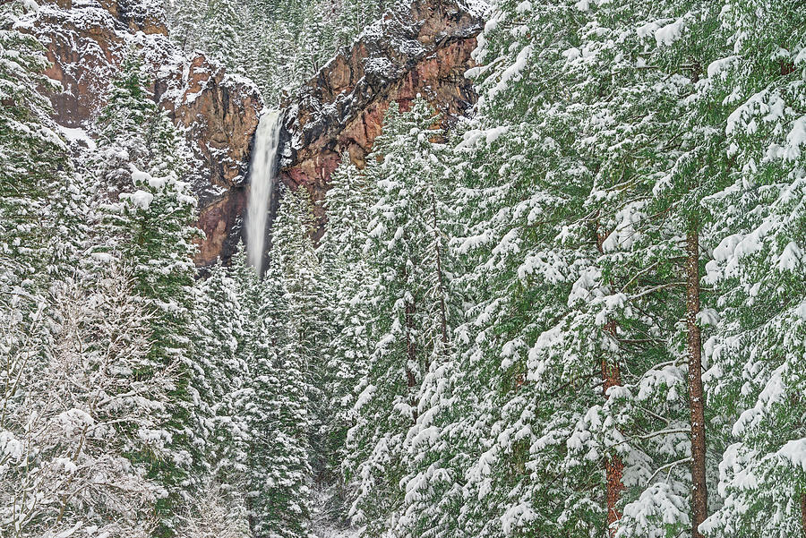 Treasure Falls Off U.S. Route 160, Mineral County, San Juan Mountains, Colorado Photograph by Bijan Pirnia