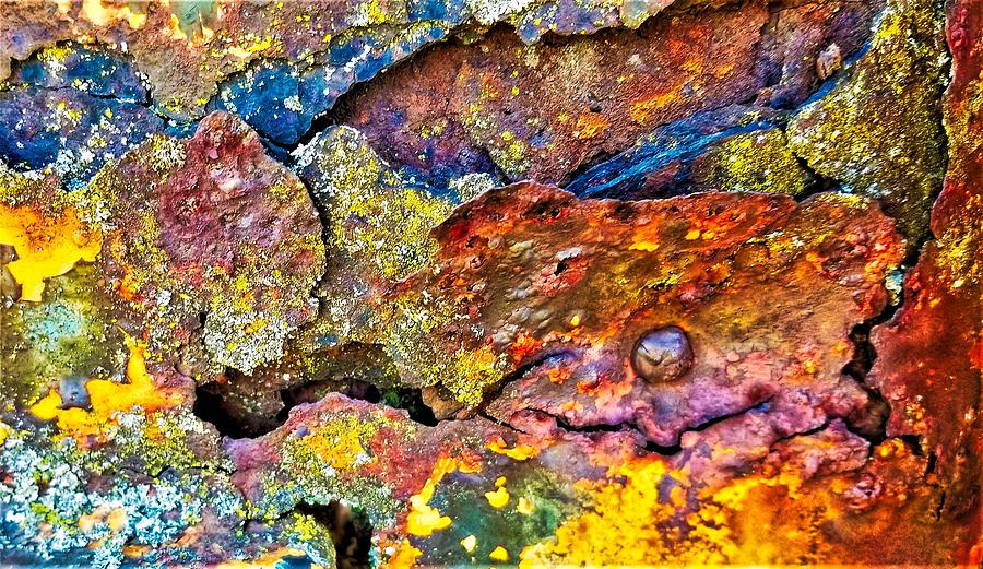 Treasure of Rust Colors Photograph by Jim Harris