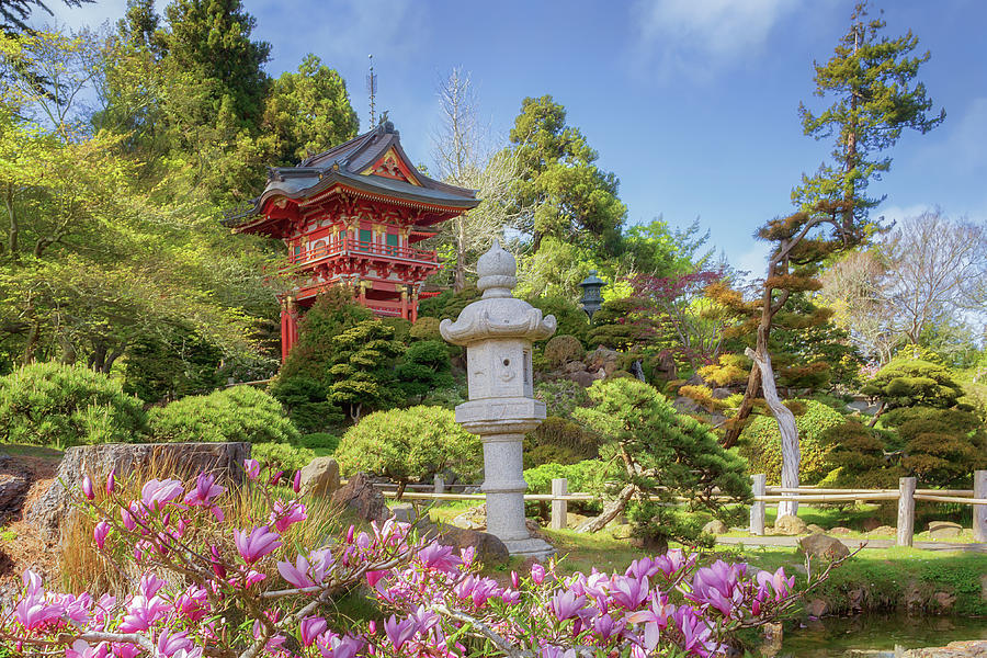 Pagoda -  Japanese Tea Garden Photograph by Susan Rissi Tregoning