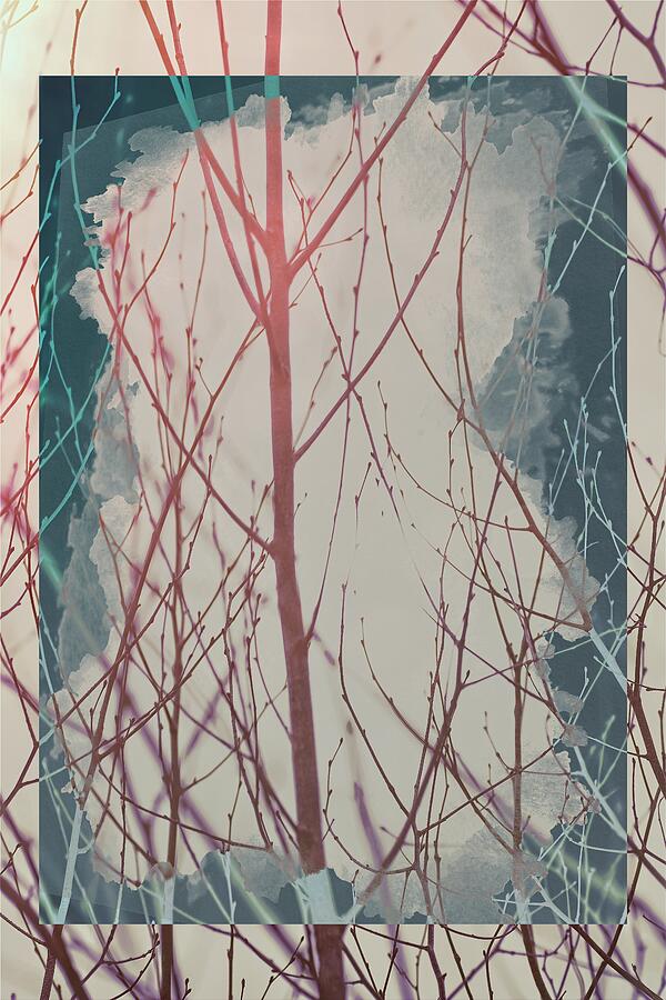 Tree Abstract Red Blue Mixed Media by Sue Capuano Tree Abstract Red Blue Mixed Media by Sue Capuano