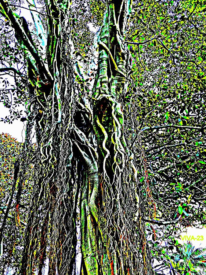 Tree - Abstract Photograph by VIVA Anderson