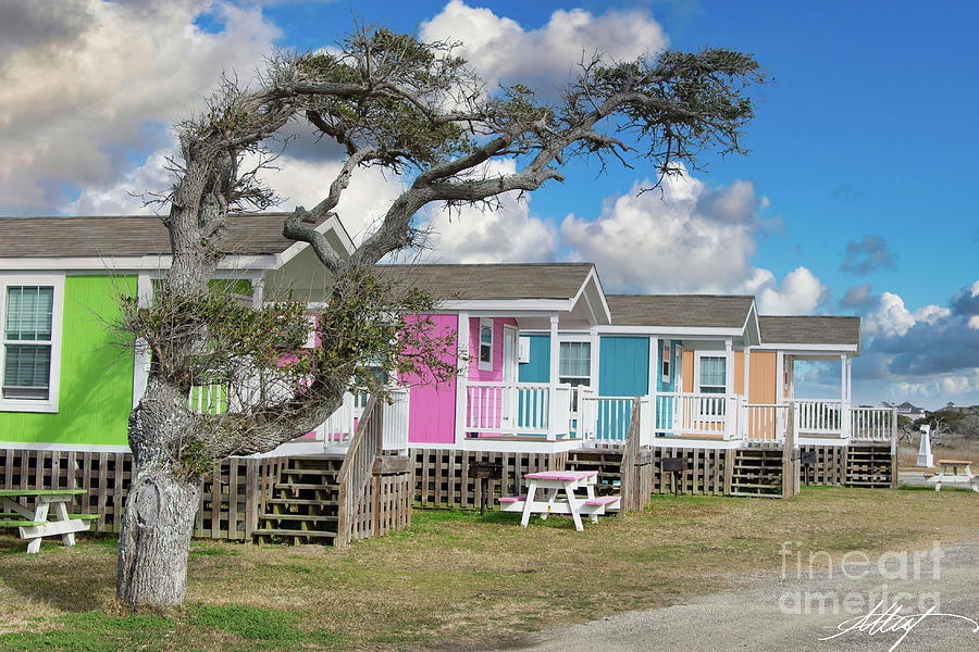Tree Among Beach Cottages Photograph by Meg Leaf