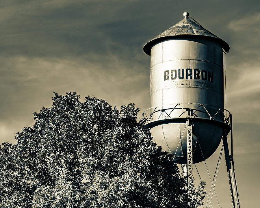Tree And Bourbon Photograph
