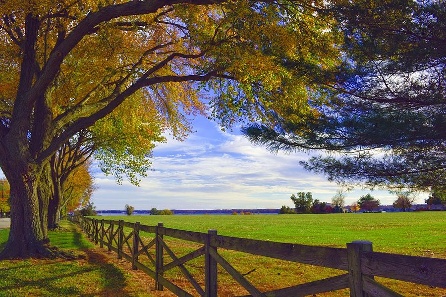 Tree and Fence Photograph by Addison Likins