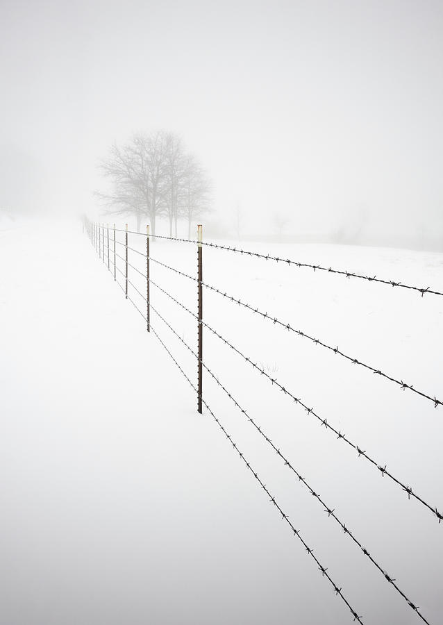 Tree and Fence in Julian Snow Photograph by William Dunigan - Fine Art ...