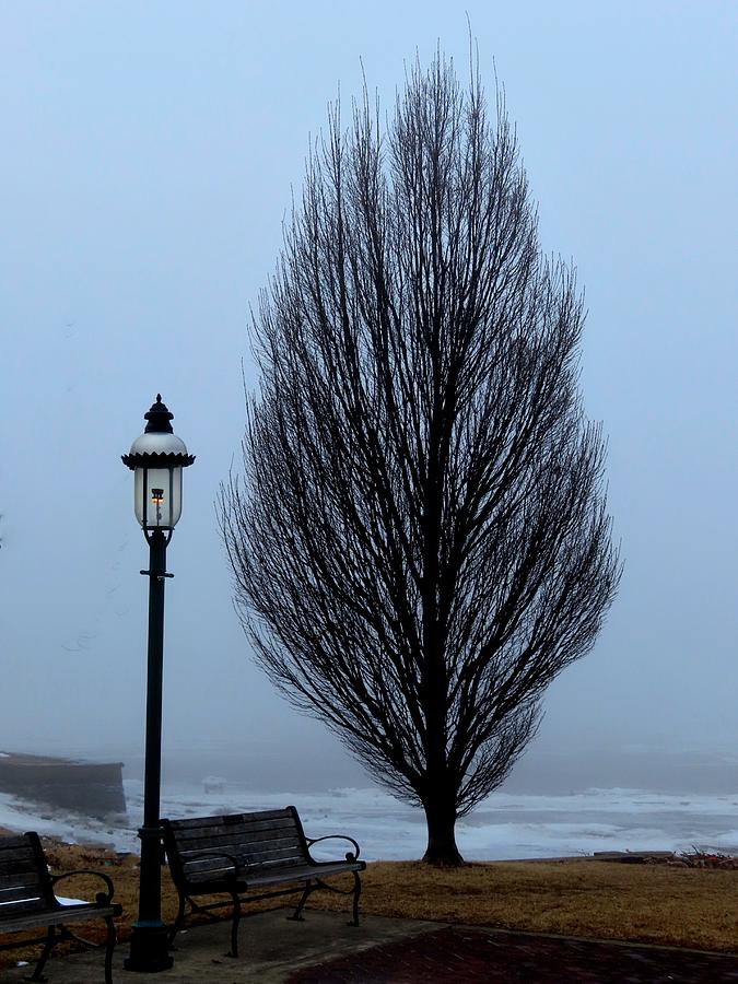 Tree and Gas Lamp Surrounded by Fog on the Frozen Delaware River Photograph by Linda Stern