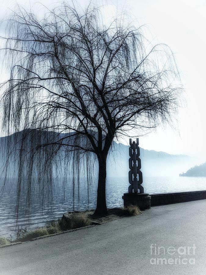 Tree And Its Statue Photograph by Claudia Zahnd-Prezioso
