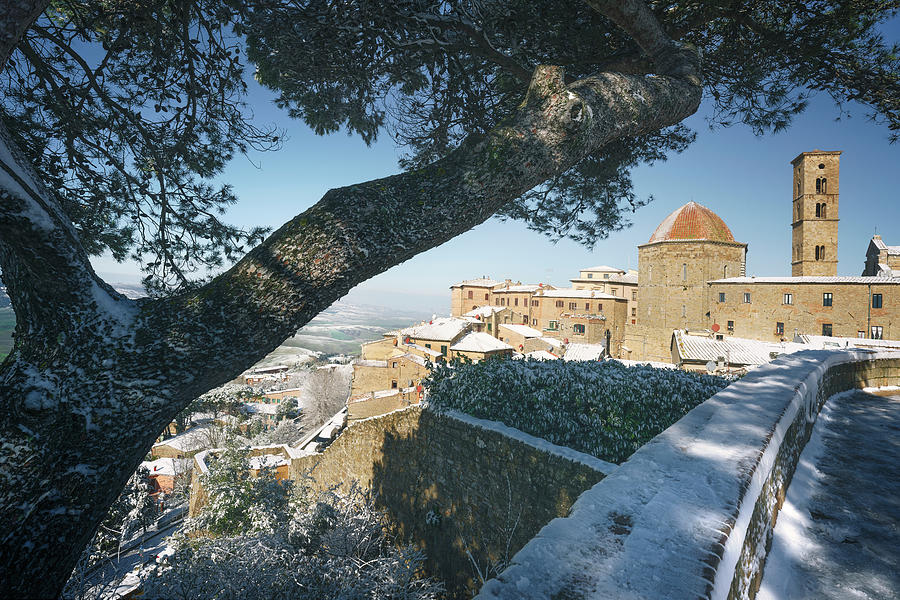 Tree and snow in Volterra. Tuscany, Italy Photograph by Stefano Orazzini