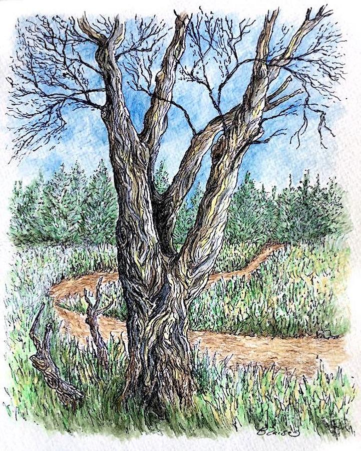 Tree and Trail Mixed Media by Yvonne Blasy