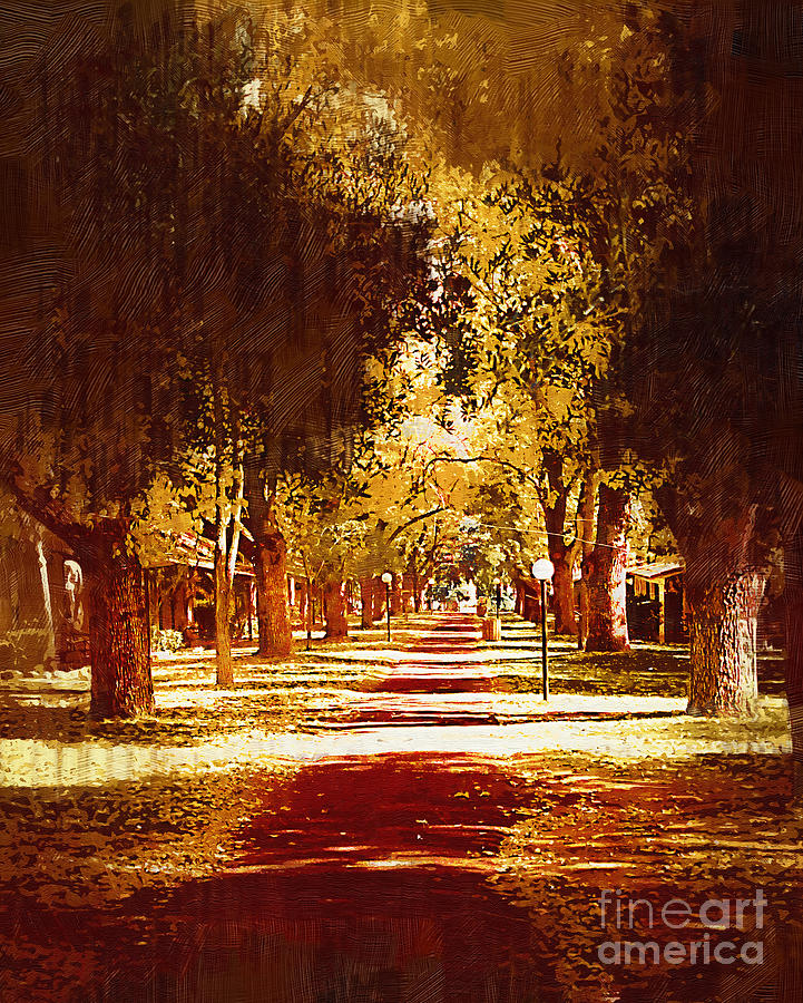 Tree Arched Walkway Digital Art by Kirt Tisdale