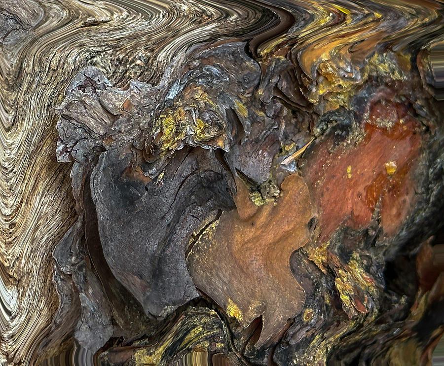 Tree Bark Abstract Digital Art by David Hubler Fine Art America