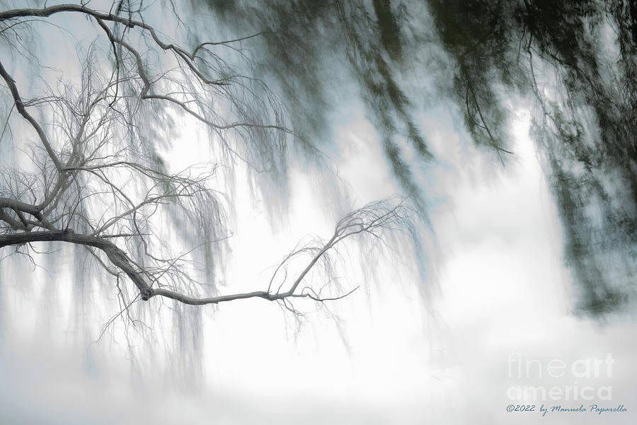 Tree Branch Blue Abstraction Photograph by Manuelas Camera Obscura