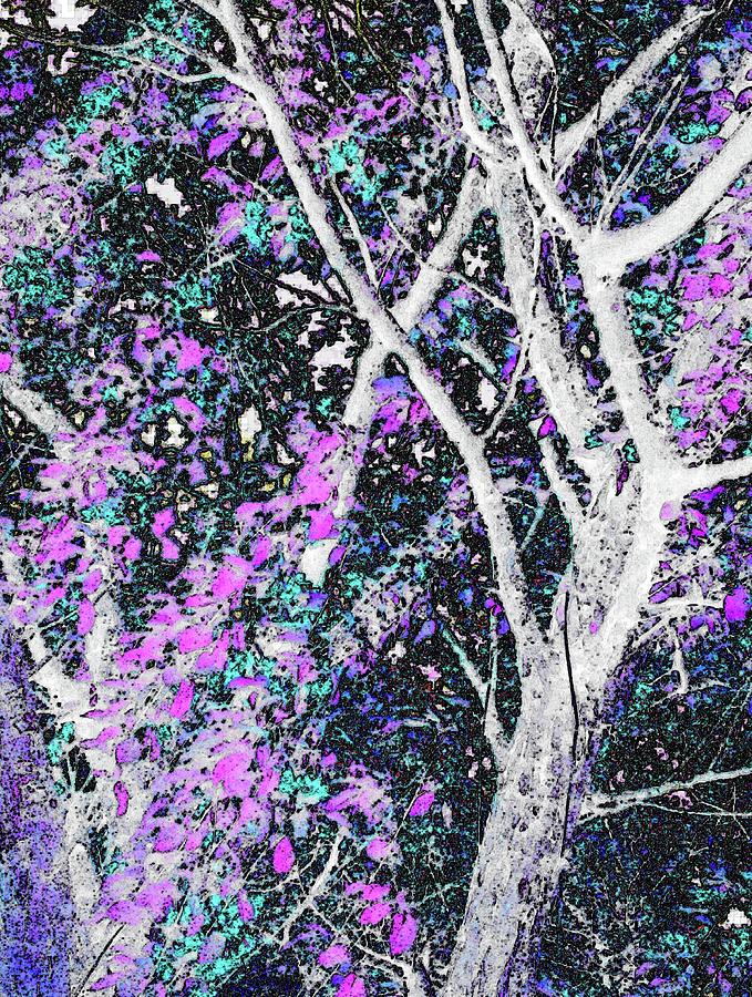 Tree Branch of Art 1 Digital Art by Jeremy Lyman