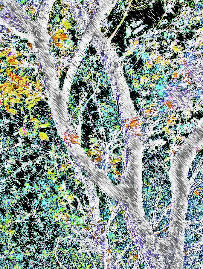 Tree Branch of Art 2 Digital Art by Jeremy Lyman