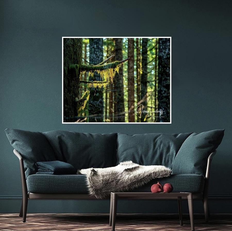Tree Branches Hanging Print Example Photograph by Jerry Sodorff