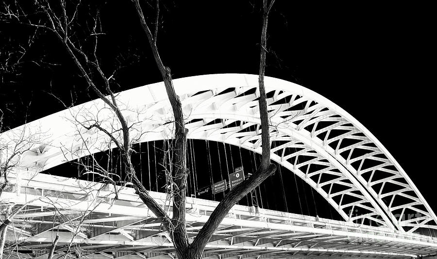 Tree Bridge Designs # 2 Black and White Photograph by Mel Steinhauer