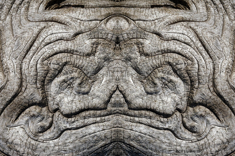 Tree Burl Mirror #1 Photograph by Ben Upham III Tree Burl Mirror #1 Photograph by Ben Upham III