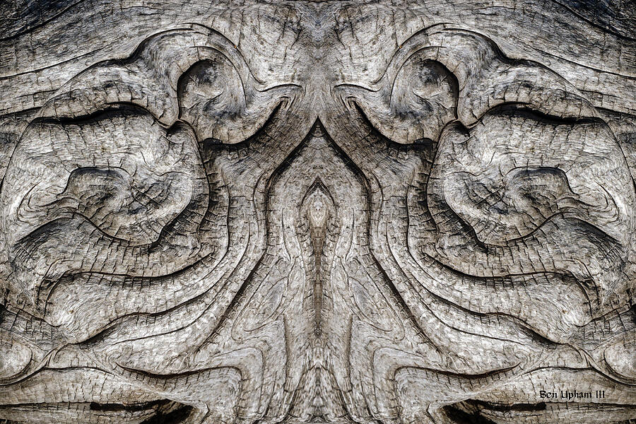 Tree Burl Mirror #3 Photograph by Ben Upham III Tree Burl Mirror #3 Photograph by Ben Upham III
