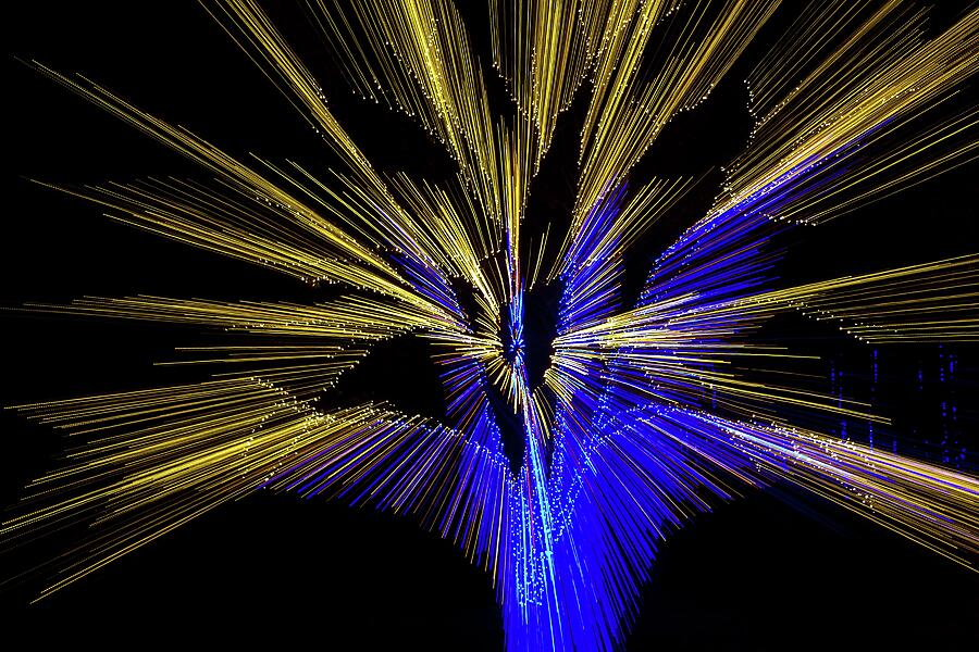 Tree Burst of Blue and Yellow Photograph by Liza Eckardt