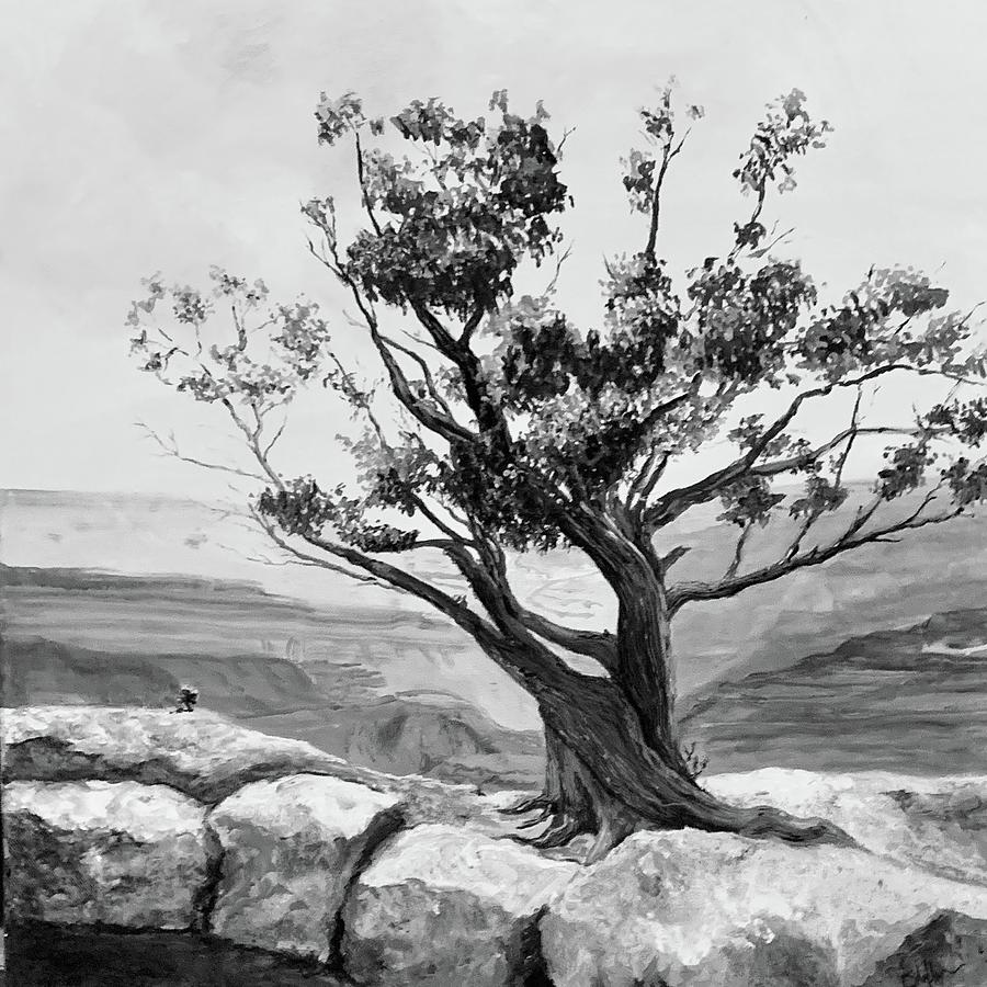 Tree by Canyon Painting by Lynn Shaffer