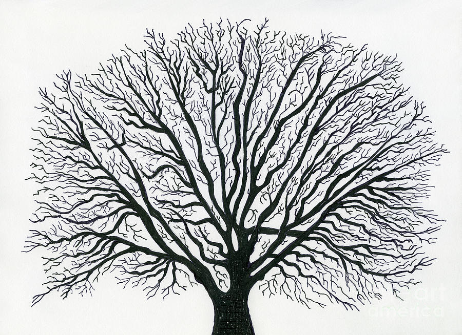 Tree Design Painting by Norma Appleton