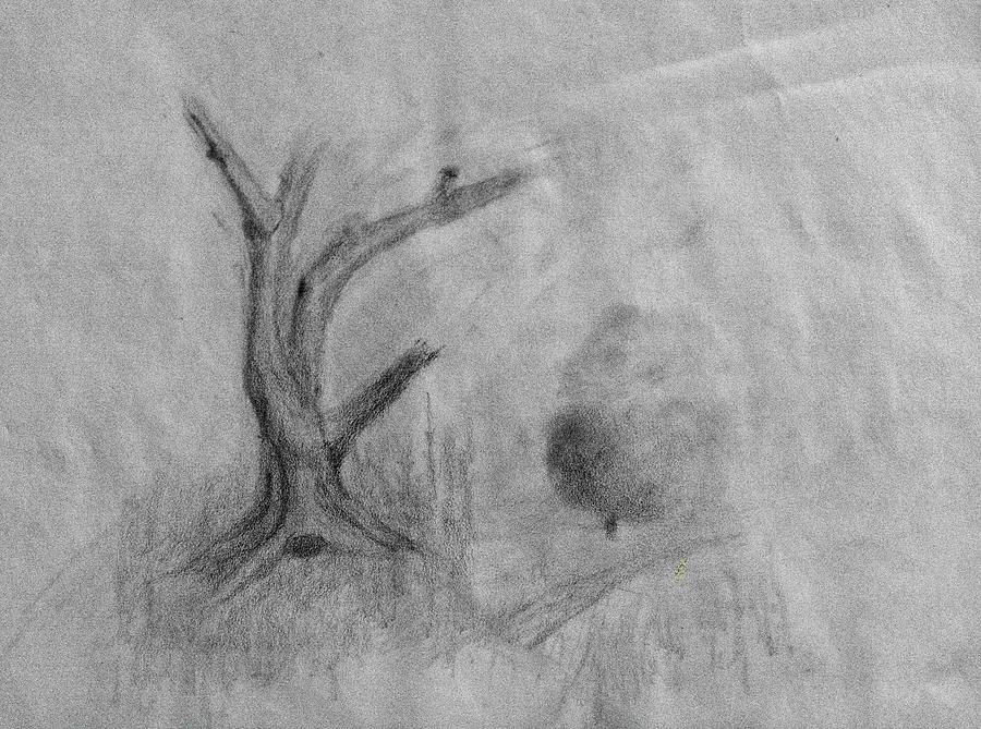 Tree drawing #k9 Drawing by Leif Sohlman