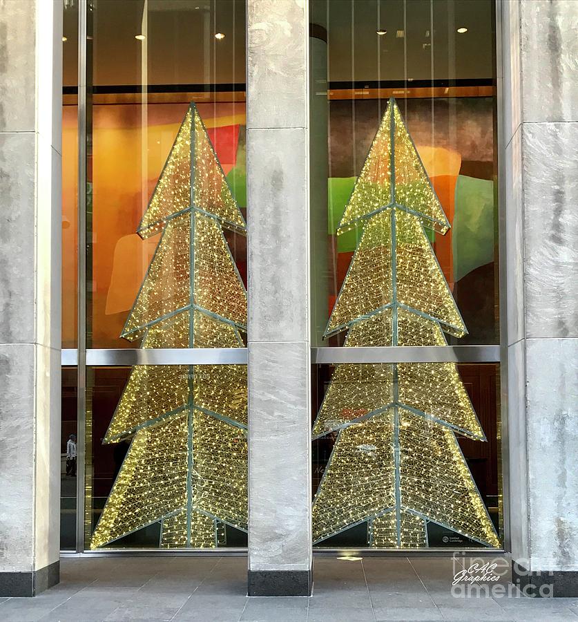 Tree Duo NYC Photograph by CAC Graphics